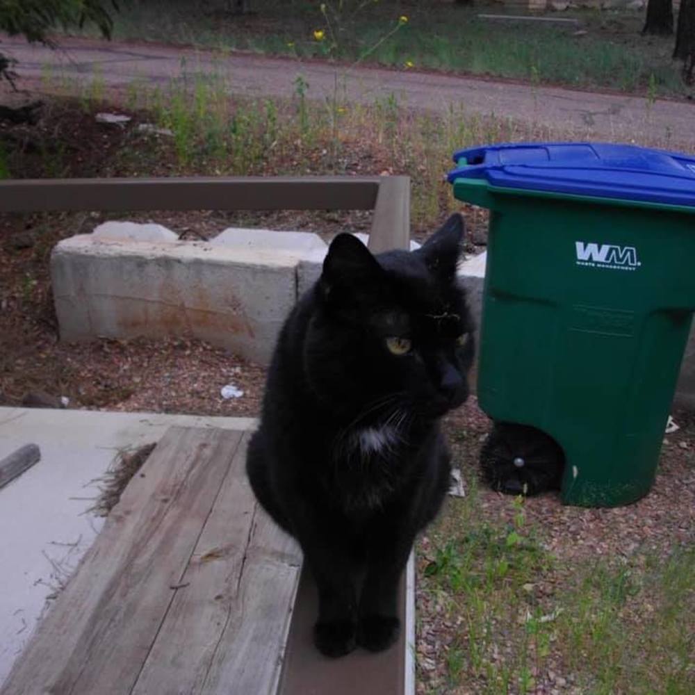 Meet your Posher, Denise